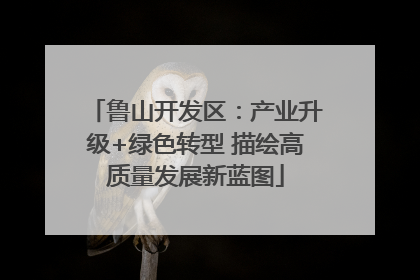 鲁山开发区：产业升级+绿色转型 描绘高质量发展新蓝图
