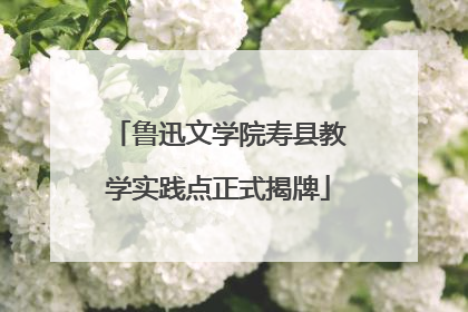 鲁迅文学院寿县教学实践点正式揭牌