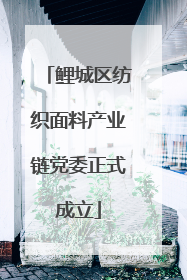 鲤城区纺织面料产业链党委正式成立