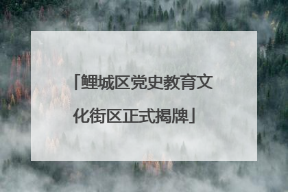 鲤城区党史教育文化街区正式揭牌