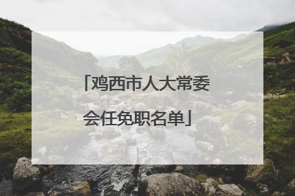 鸡西市人大常委会任免职名单