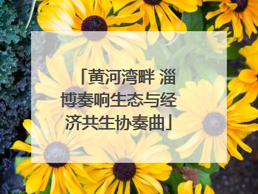 黄河湾畔 淄博奏响生态与经济共生协奏曲