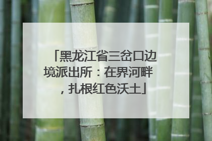 黑龙江省三岔口边境派出所：在界河畔，扎根红色沃土
