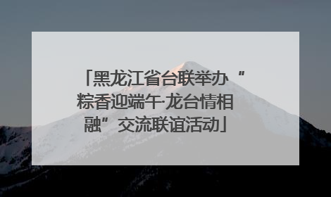 黑龙江省台联举办“粽香迎端午·龙台情相融”交流联谊活动