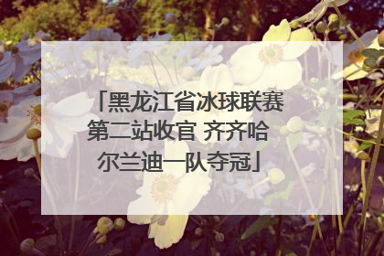 黑龙江省冰球联赛第二站收官 齐齐哈尔兰迪一队夺冠