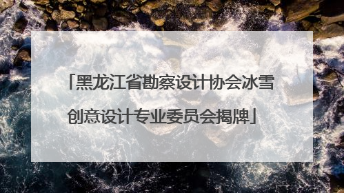 黑龙江省勘察设计协会冰雪创意设计专业委员会揭牌