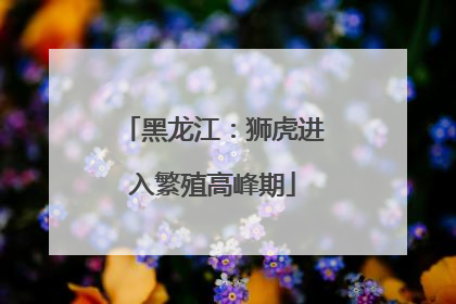 黑龙江：狮虎进入繁殖高峰期