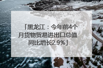 黑龙江：今年前4个月货物贸易进出口总值同比增长2.9%