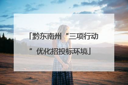 黔东南州“三项行动”优化招投标环境