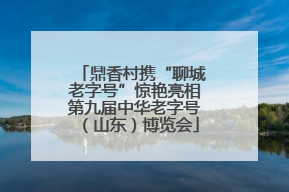 鼎香村携“聊城老字号”惊艳亮相第九届中华老字号（山东）博览会