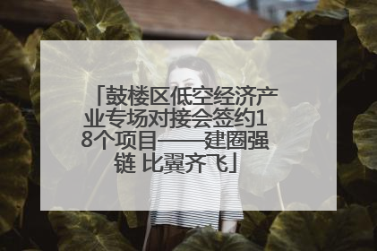 鼓楼区低空经济产业专场对接会签约18个项目——建圈强链 比翼齐飞