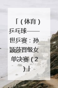 （体育）乒乓球——世乒赛：孙颖莎晋级女单决赛（2）