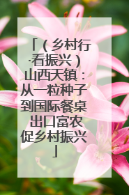 （乡村行·看振兴）山西天镇：从一粒种子到国际餐桌 出口富农促乡村振兴