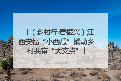 （乡村行·看振兴）江西安福“小西瓜”撬动乡村共富“大支点”