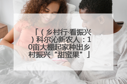 （乡村行·看振兴）科尔沁新农人：10亩大棚起家种出乡村振兴“甜蜜果”
