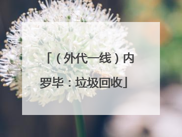 （外代一线）内罗毕：垃圾回收