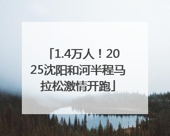 1.4万人！2025沈阳和河半程马拉松激情开跑