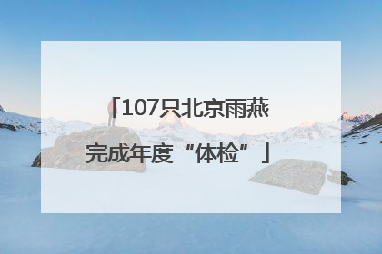 107只北京雨燕完成年度“体检”
