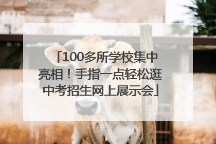 100多所学校集中亮相！手指一点轻松逛中考招生网上展示会