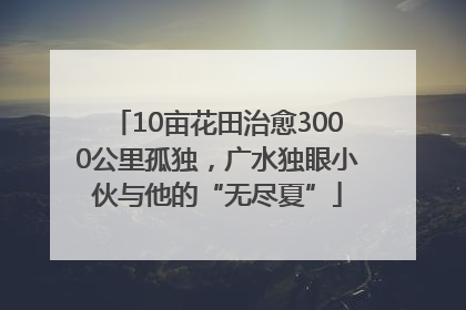 10亩花田治愈3000公里孤独，广水独眼小伙与他的“无尽夏”