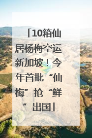 10箱仙居杨梅空运新加坡！今年首批“仙梅”抢“鲜”出国