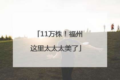 11万株！福州这里太太太美了
