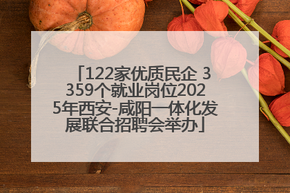 122家优质民企 3359个就业岗位2025年西安-咸阳一体化发展联合招聘会举办