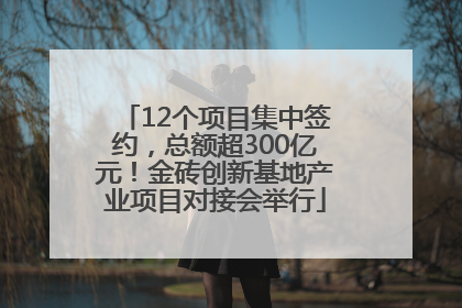 12个项目集中签约，总额超300亿元！金砖创新基地产业项目对接会举行