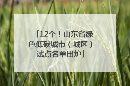 12个！山东省绿色低碳城市（城区）试点名单出炉