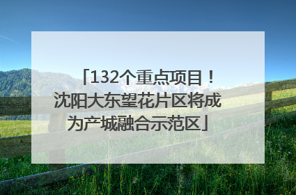 132个重点项目！沈阳大东望花片区将成为产城融合示范区