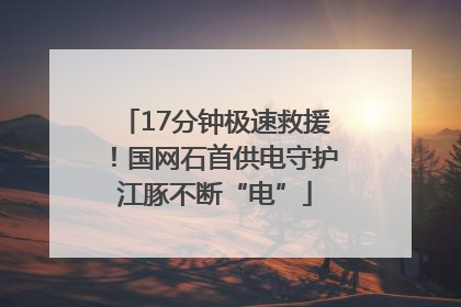 17分钟极速救援！国网石首供电守护江豚不断“电”