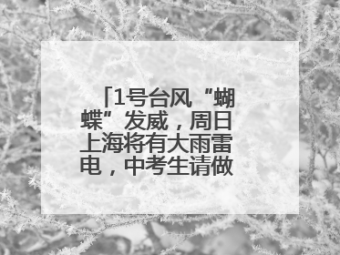 1号台风“蝴蝶”发威，周日上海将有大雨雷电，中考生请做好防范准备