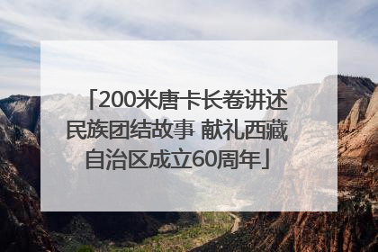 200米唐卡长卷讲述民族团结故事 献礼西藏自治区成立60周年