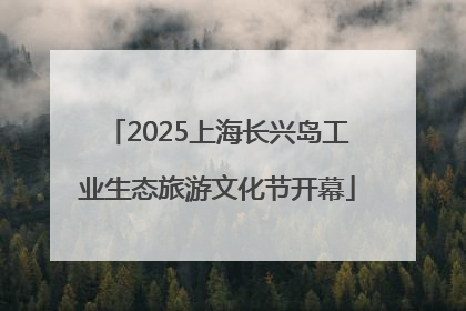 2025上海长兴岛工业生态旅游文化节开幕