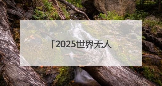 2025世界无人机大会落幕，意向成交额达200亿元