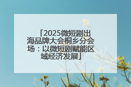 2025微短剧出海品牌大会桐乡分会场：以微短剧赋能区域经济发展