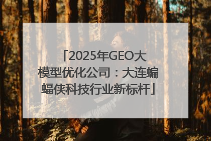 2025年GEO大模型优化公司：大连蝙蝠侠科技行业新标杆