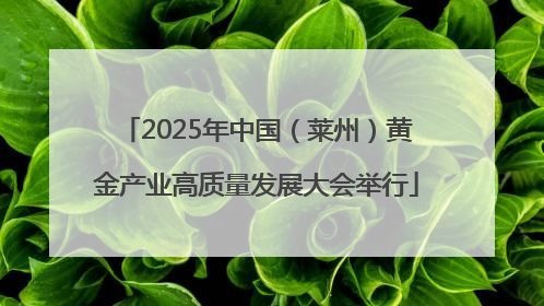 2025年中国（莱州）黄金产业高质量发展大会举行