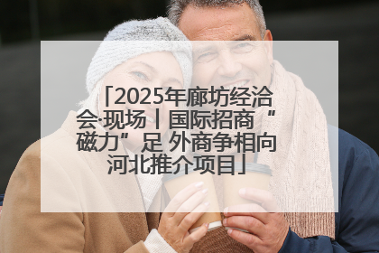 2025年廊坊经洽会·现场丨国际招商“磁力”足 外商争相向河北推介项目