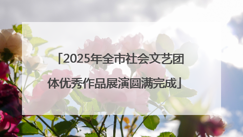 2025年全市社会文艺团体优秀作品展演圆满完成