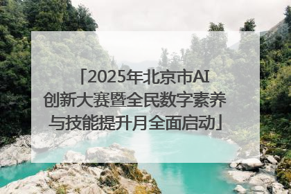2025年北京市AI创新大赛暨全民数字素养与技能提升月全面启动