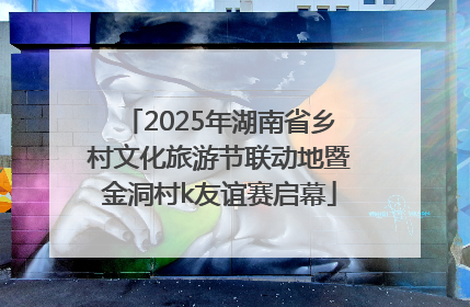 2025年湖南省乡村文化旅游节联动地暨金洞村k友谊赛启幕