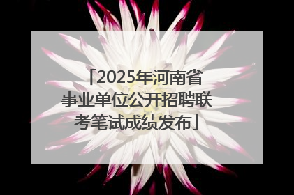 2025年河南省事业单位公开招聘联考笔试成绩发布