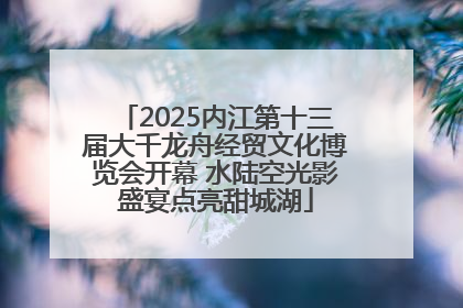 2025内江第十三届大千龙舟经贸文化博览会开幕 水陆空光影盛宴点亮甜城湖