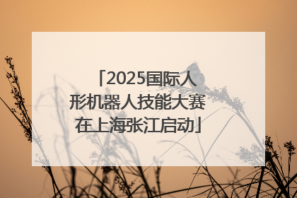 2025国际人形机器人技能大赛在上海张江启动
