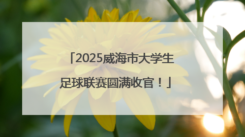 2025威海市大学生足球联赛圆满收官！