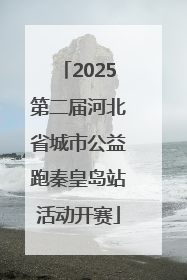 2025第二届河北省城市公益跑秦皇岛站活动开赛