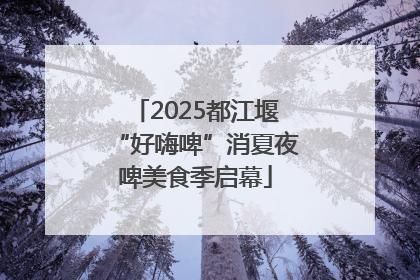 2025都江堰“好嗨啤”消夏夜啤美食季启幕