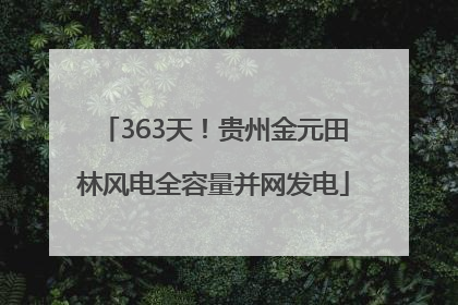 363天！贵州金元田林风电全容量并网发电