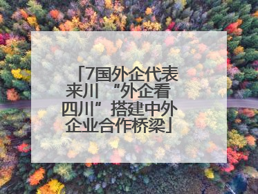 7国外企代表来川 “外企看四川”搭建中外企业合作桥梁